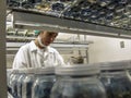 Researcher performs an analysis of plants and fungi in a semi-arid Embrapa laboratory, Brazilian Agricultural Research Corporation Royalty Free Stock Photo