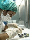 Researcher performs an analysis of plants and fungi in a semi-arid Embrapa laboratory, Brazilian Agricultural Research Corporation