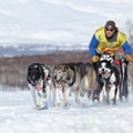 Russian Cup of Sled Dog Racing snow disciplines, Kamchatka Sled Dog Racing Beringia Royalty Free Stock Photo