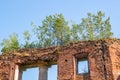 Petrovskoe-Alabino Estate - the ruins of an abandoned farmstead at the end of the 18th century Royalty Free Stock Photo