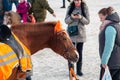 Red-haired girl leads a red horse