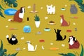 Pets accessory things product icon, home house cat dog aquarium stuff flat vector illustration. Domestic home creature