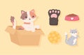 pets adoption icons