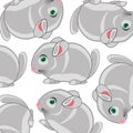 Vector illustration of the cartoon mammal chinchillas decorative pattern