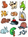 Pets animals collection set icons symbols