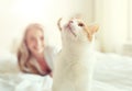 Happy young woman with cat in bed at home Royalty Free Stock Photo