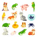 Pets animals set. Vector flat cartoon illustrations. Exotic domestic animal, birds and reptiles Royalty Free Stock Photo