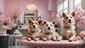 Pets in a beauty salon for animals.