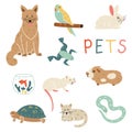 Pets character set for pet shop. Royalty Free Stock Photo