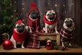 pets in christmas breeds Pugs