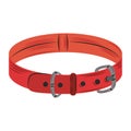 pets collar for dog accessory image flat style