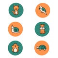 Pets colored icons. Hamster, cat, dog, bird, turtle, snail