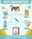 Pets Compulsory Vaccination Orthogonal Flowchart Royalty Free Stock Photo