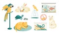 Pets and domestic animals set. Vector clip art. Royalty Free Stock Photo