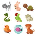 Pets domestic animals vector flat icons Royalty Free Stock Photo