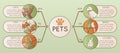 Pets Flat Infographic