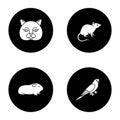 Pets glyph icons set