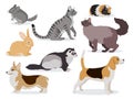 Pets icon set, cute gray chinchilla, fluffy ferret, smooth coated and domestic long-haired cats, corgi, beagle, dogs Royalty Free Stock Photo