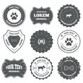 Pets icons. Cat paw with clutches sign Royalty Free Stock Photo