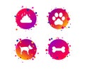 Pets icons. Dog paw and feces signs. Vector