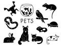 Pets icons set Royalty Free Stock Photo