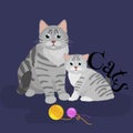 Pets mother cat and kitten sitting white background, domestic animals