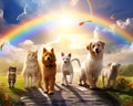 Pets paradise of dogs and cats. Royalty Free Stock Photo