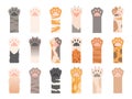 Pets paw. Wild cats different paws with claws vector collection