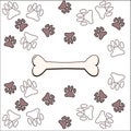 Pets paws and bone background