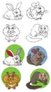 Pets rodents