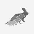 Pets silhouettes. rabbit, ferret, chinchilla, hamster. pet store or veterinary clinic