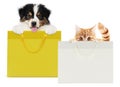 Pets store concept, puppy dog and pet cat together showing a shopper isolated on white background blank template and copy space Royalty Free Stock Photo