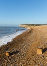 Pett level beach near Fairlight Wood, Hastings East Sussex England UK
