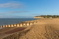 Pett near Fairlight Wood, Hastings East Sussex England UK