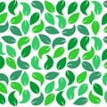 Pettern leaves Royalty Free Stock Photo