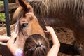 Petting a Farm Horse at Petting Zoo Royalty Free Stock Photo