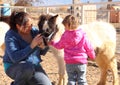 Petting a Miniature Horse Royalty Free Stock Photo