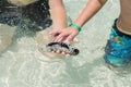 Petting a Sea Cucumber Royalty Free Stock Photo