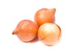 Petty onion Royalty Free Stock Photo