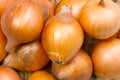 Petty onion Royalty Free Stock Photo