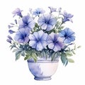 Petunia Arrangement Watercolor Clipart In French Blue Hues Royalty Free Stock Photo