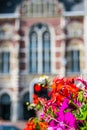 Petunia Flower on a Amsterdam Bridge. Nature dutch. Focus in the foreground.