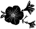 Petunia flower silhouette