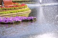 Petunia flowers growing in bamboo raft patterns on pond with fountain view and wood chair background at Public park Royalty Free Stock Photo