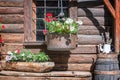 Petunia flowers pots on the window of a wooden rustic log cabin in the Alps, Aosta Valley Italy