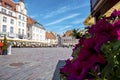 Petunia flowers with tourists exploring city square in background on sunny day Royalty Free Stock Photo