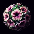 Petunia isolated on black background. Flowers and plants in spring. AI generated