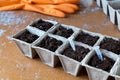 Petunia and surfinia seeds in capsules with peat pots with soil on a dirty brown garden table with scratches.