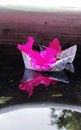 Petunias Flowers With Small Paper Boat, Reflection Water. Royalty Free Stock Photo