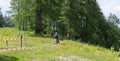 Petzen,Austria - June 30 - Unidentified enduro mountainbike racer goes down on a stage 3 of Enduro World Series EWS #4 Petzen/Ja